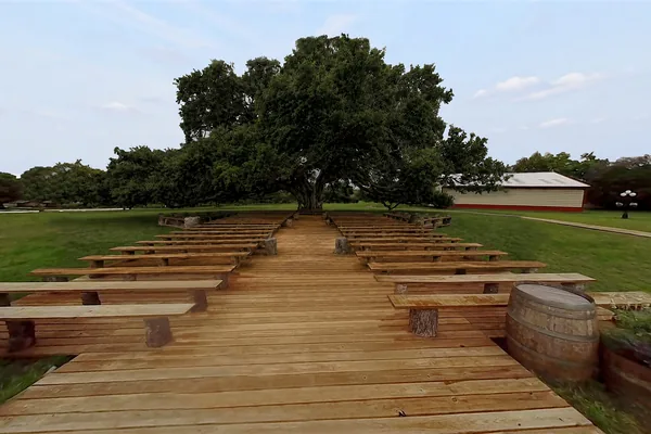 Wedding aisle beneath the live oak